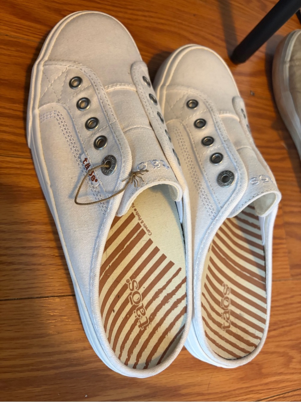 Taos Footwear White Canvas Slip-On Athletic Sneakers